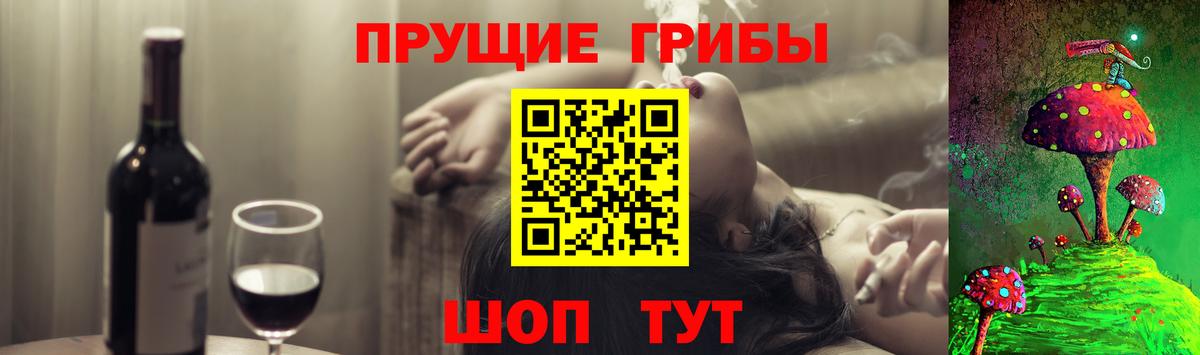 купить наркотики цена  Вход с VPN  Карабулак  Галлюциногенные грибы MAGIC MUSHROOMS  Галлюциногенные грибы мицелий 